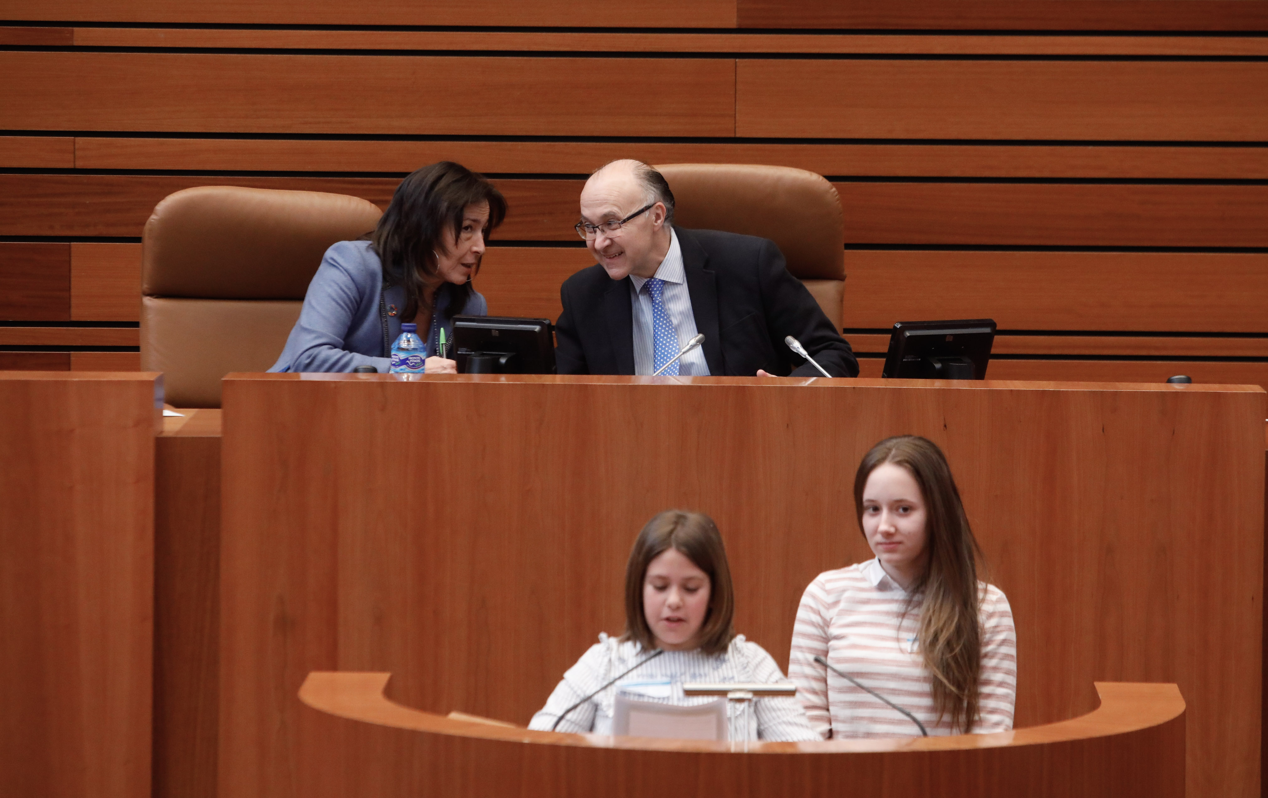 Imagen de Un mundo más sostenible y sin desigualdades: las demandas de 73 niños y niñas de Castilla y León en el Parlamento Autonómico
