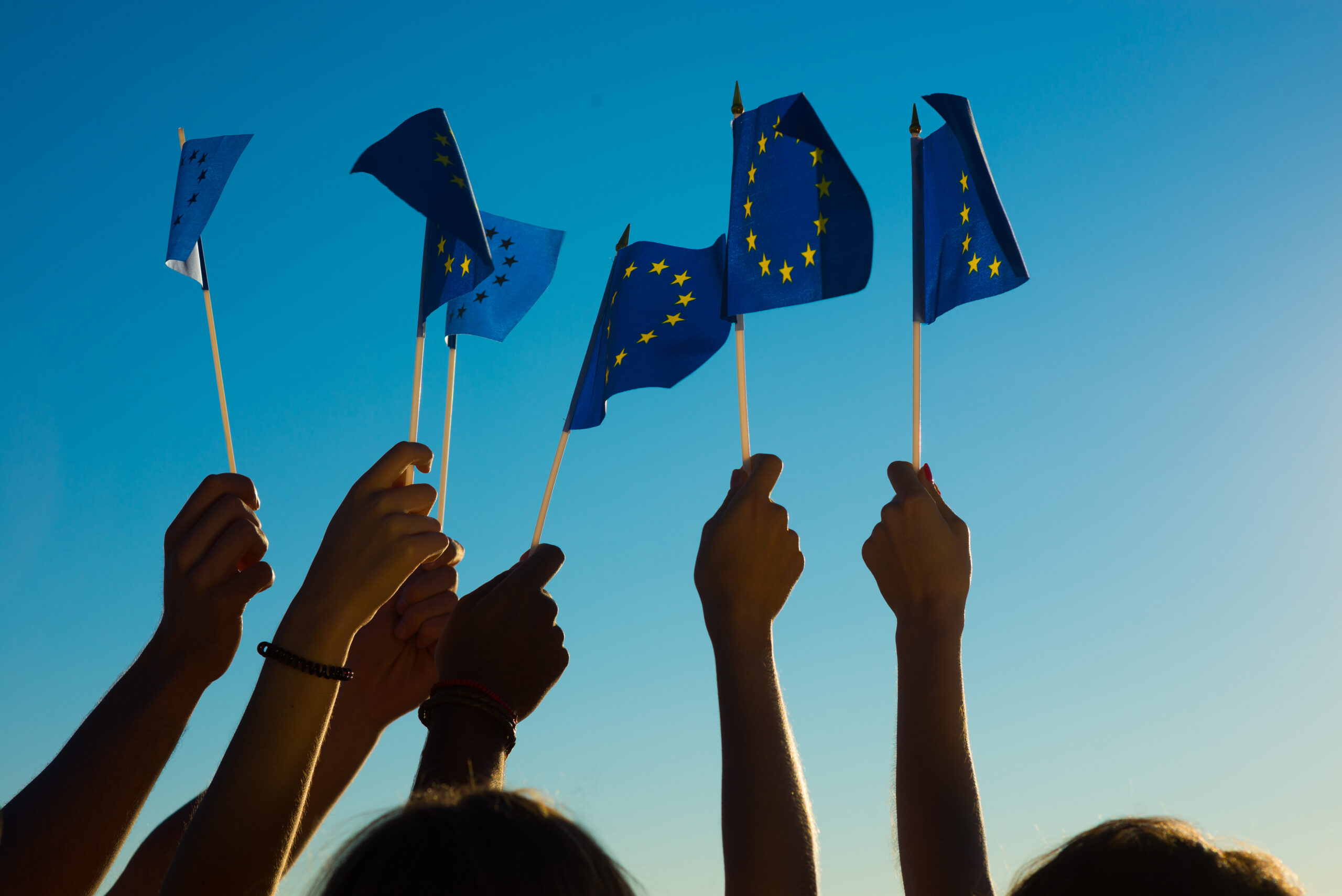 Fans came to the Eurovision Song Contest. People holding flags of the European Union. Meeting of European pop star. Many EU flags. Sport competitions.