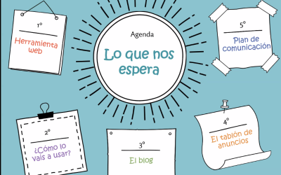 Paso a paso de la herramienta web para grupos locales de participación