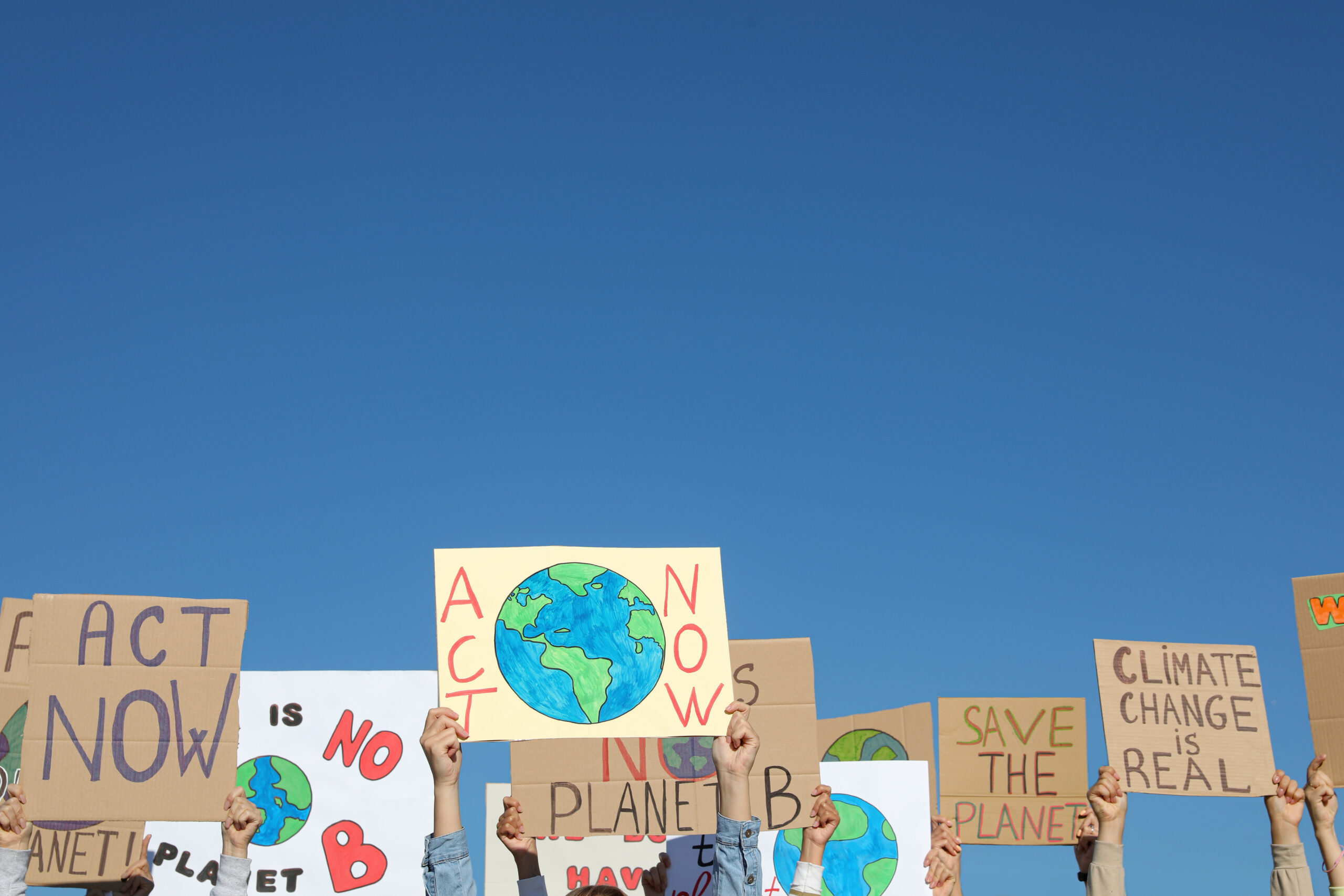 juventud acción climática
